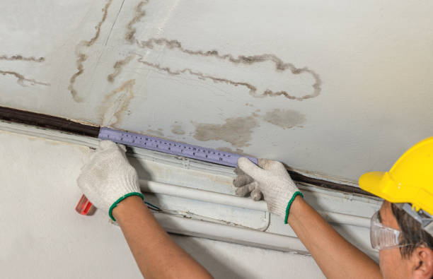 Reliable Mold Remediation contractor in Britton, SD by Water Damage Irwin